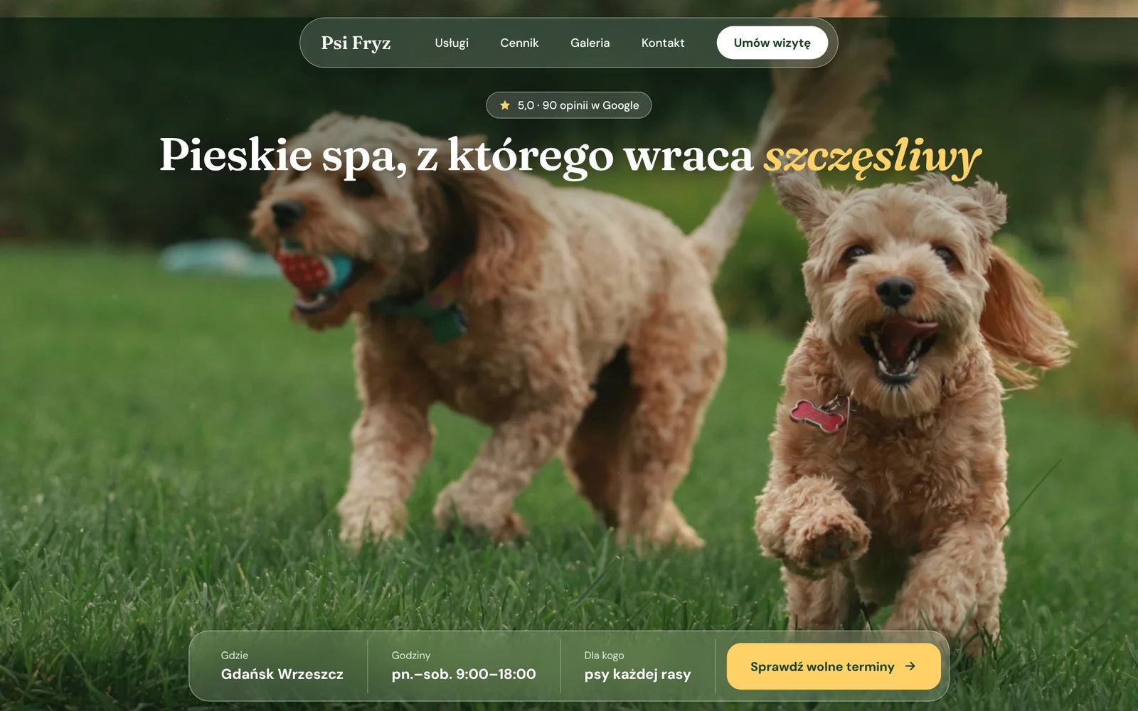Salon groomerski: strona w wersji na komputer